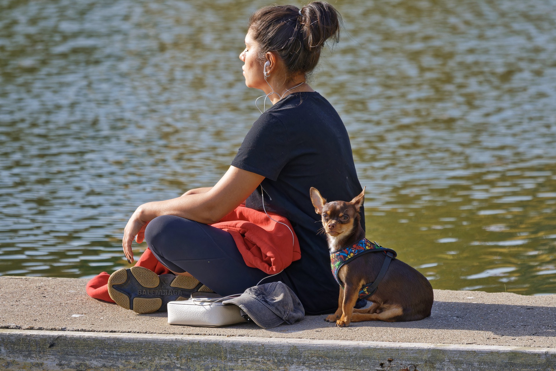 Přečtete si více ze článku Zákon meditace