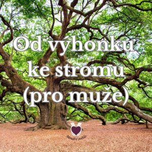 Webinář – „Od výhonku ke stromu“