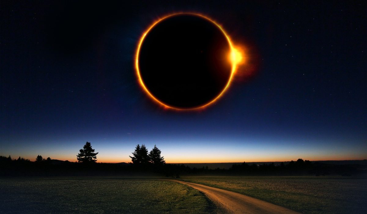 solar plexus